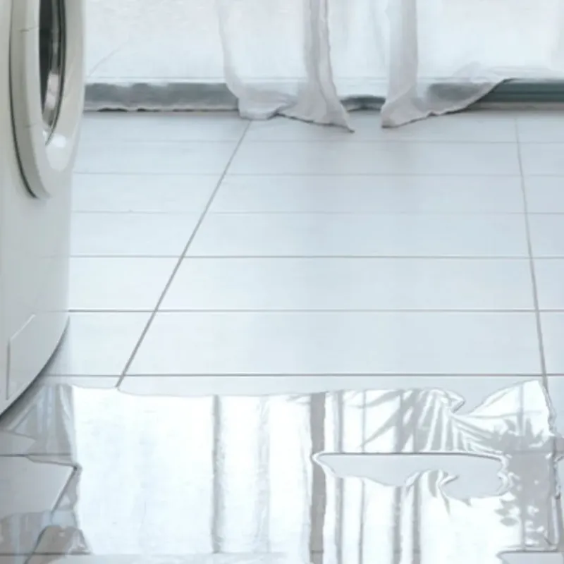 Appliance Leak Cleanup in Saint Augustine Shores, FL