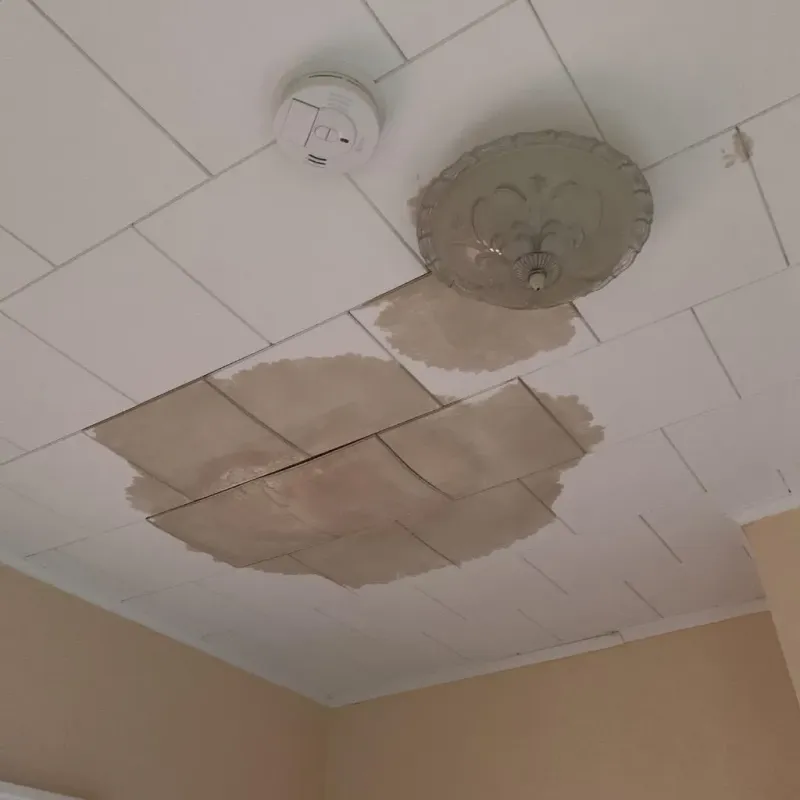 Ceiling Water Damage Repair in Saint Augustine Shores, FL